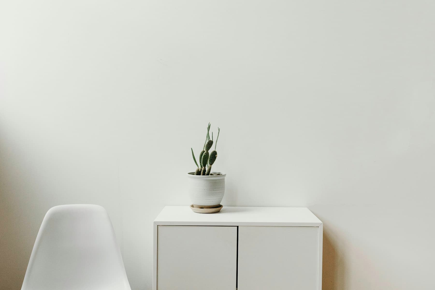 White chair and cabinet with a small cactus against a pale wall.